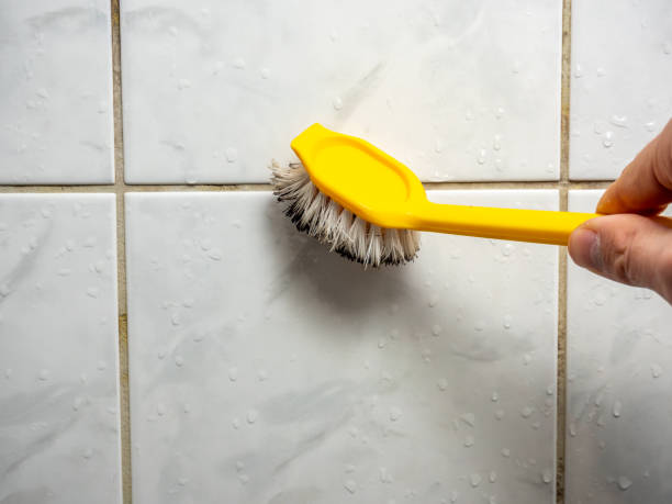 Best Residential Mold Remediation in Socorro, TX